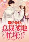 一胎六宝总裁爹地忙坏了免费阅读林婉
