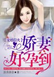 宠婚似火:娇妻,好孕到! - 最新章节免费读全文免费