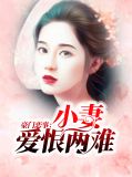 豪门的小妻子