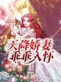 天降娇妻乖乖入怀沈心白萧宴