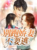 娇妻别想跑时锦城