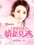 甜婚蜜恋独宠娇妻
