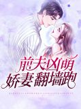 前夫小说大全