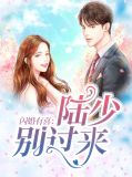 闪婚有喜：陆少别过来陆承皓