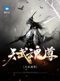 武魂陈枫