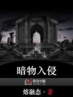 暗物质无名入侵