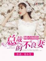 倾心如故:总裁的不良妻文笔好吗