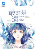 难以遗忘小说