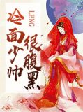 攻略冷面少帅