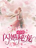 司少的秘宠甜妻小说