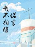我不相信承诺,不相信甜言蜜语