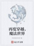 穿越在魔法世界的小说