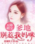 天降萌宝爹地放开我吗咪
