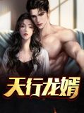 男主叫龙天行