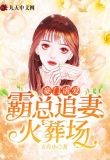 豪门虐爱:霸总追妻火葬场 玉肖小