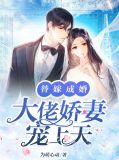 替嫁成婚：大佬娇妻宠上天云慕白叶寒辰