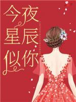 今夜星辰似你短剧合集