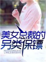冰山女总裁的另类保镖完整版