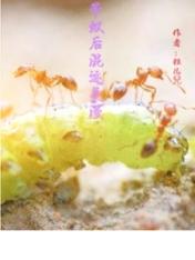 蚁后类小说