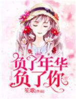负了年华负了你什么意思