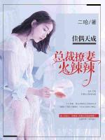 佳偶天成:追妻送萌宝小说