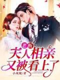 老板夫人又迷路了