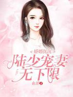 娇婚沉沉陆少宠妻无下限