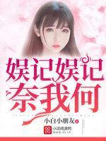 娱记的小说