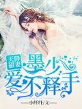 天降甜妻:墨少爱不释手 一兮烟雨