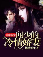 闻宋小说