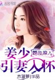婚色撩人姜少引妻入怀txt下载