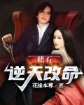 赌石：逆天改命