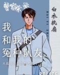 警察荣誉：我和我的冤种队友