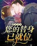 金主大人，您的替身已就位