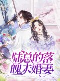 陆总的落魄未婚妻陆淮