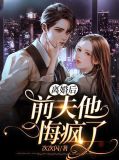 离婚后,前夫他悔疯了小说