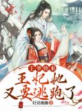 王妃,王爷又来求亲啦