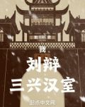 我,刘辩,三兴汉室下载