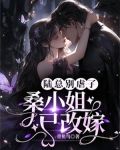 陆总别虐了，桑小姐已改嫁