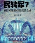 民转军?谁都知道我们是民营企业下载