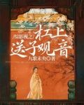 综影视之杠上送子观音一类的小说