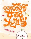 快穿之奈何女配太难当TXT下载