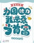 重生九零,为国效力我逆袭当首富_