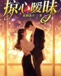 比较掠心的小说