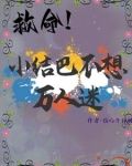 小结巴完结小说