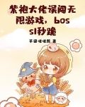 紫袍大人