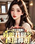 京圈公主小说