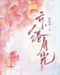 京港月光小说免费阅读