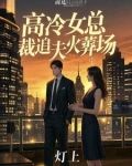 女总裁追夫火葬场的小说