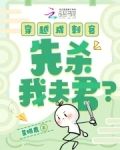 穿越成刺客,先杀我夫君的小说